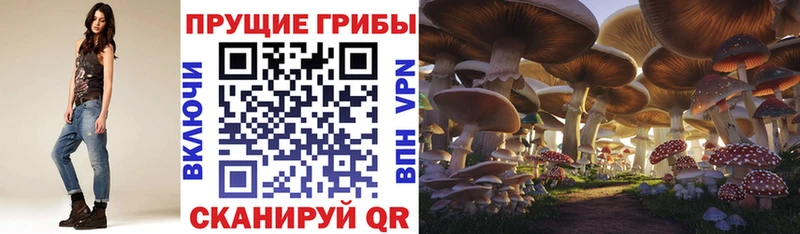 Псилоцибиновые грибы GOLDEN TEACHER  Каменск-Уральский 